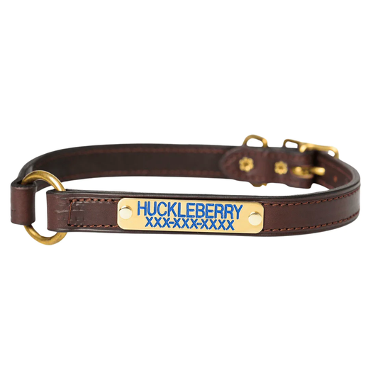 Bluegrass Provisions Premium Leather Dog Collar