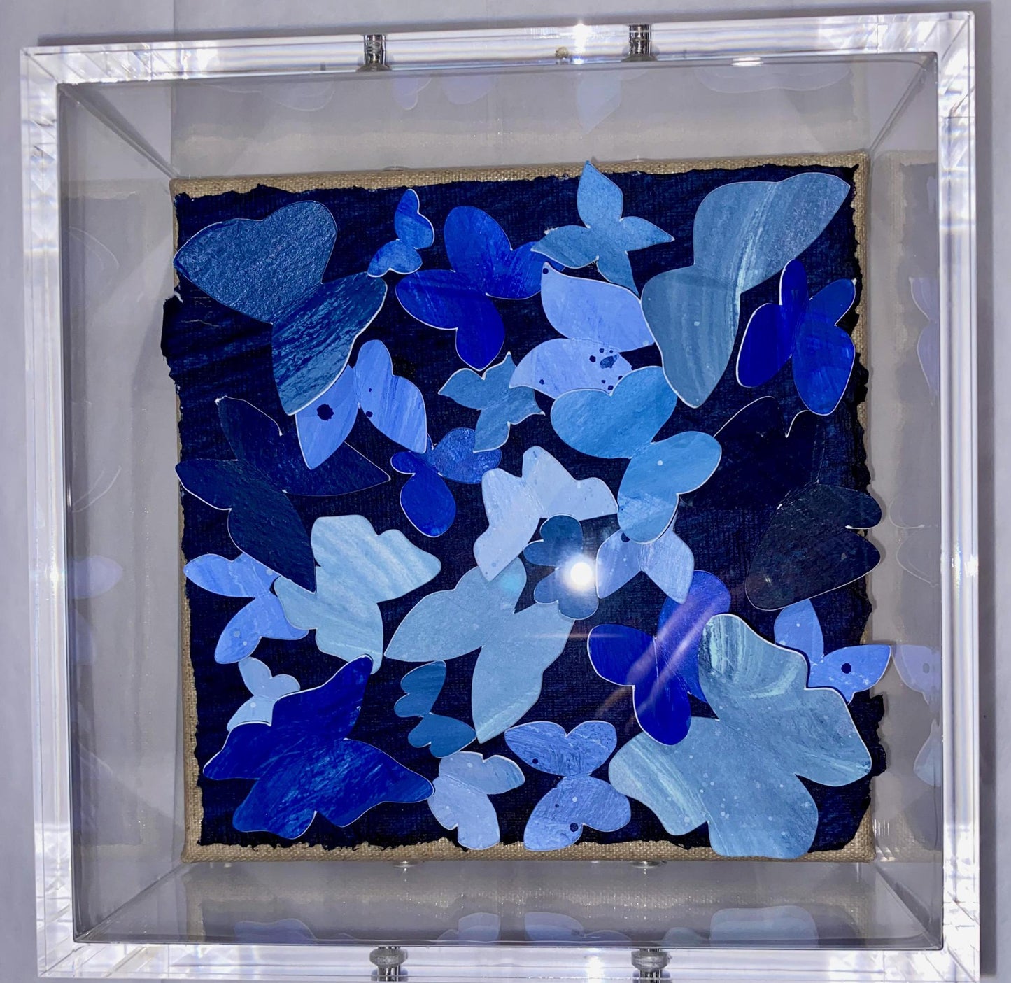 Sarah Gentry Butterflies on Archival Paper